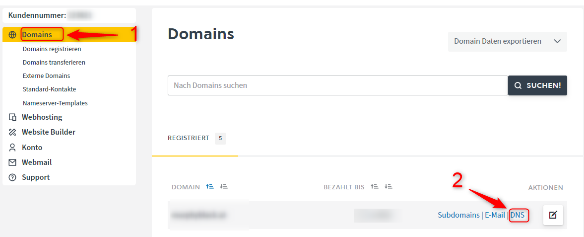 Controlpanel - DNS Management
