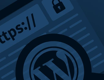 Browser window showing https:// and a padlock icon, with a circular WordPress logo.