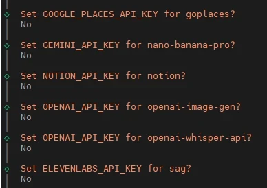 Terminal window with prompts to set API keys for Google Places, Gemini, Notion, OpenAI, and ElevenLabs; all show 'No'.
