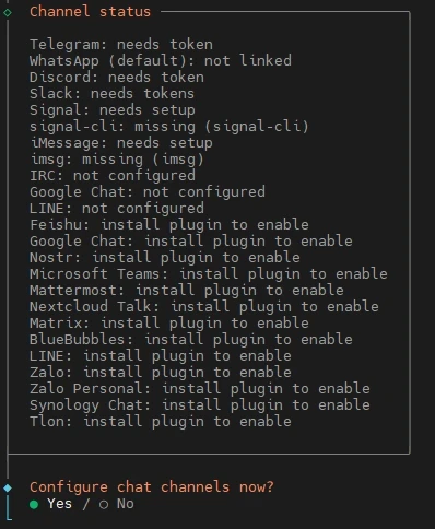 Dark terminal showing a Channel status list with items like 'Telegram: needs token' and 'Discord: needs token', and a Yes/No prompt.