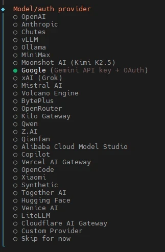 Vertical list of model/auth providers with radio buttons; Google is selected.