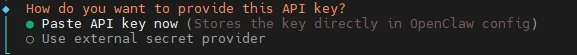 Prompt with two API key options: Paste API key now (stores in OpenClaw config) or Use external secret provider.