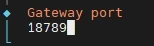 Terminal window showing 'Gateway port' and the number 18789 with a cursor.