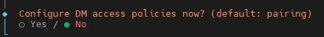Terminal prompt: Configure DM access policies now? (default: pairing) with Yes and No radio options; No selected.