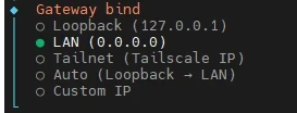 Gateway bind menu showing LAN 0.0.0.0; other options: Loopback 127.0.0.1, Tailnet (Tailscale IP), Auto, Custom IP.