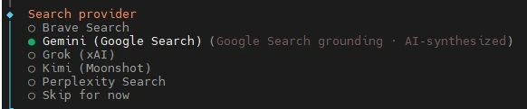 Dark terminal panel: Search provider with Brave Search, Gemini (Google Search), Grok, Perplexity, Skip for now.