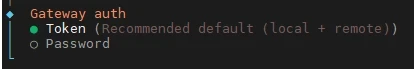 Dark terminal menu: Gateway auth, Token (Recommended default (local + remote)), Password; Token selected.