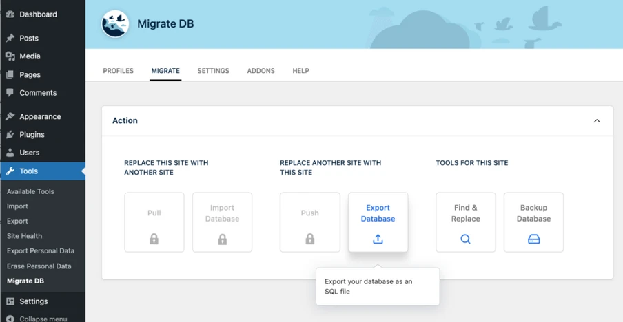 Screenshot of an admin panel with a blue header 'Migrate DB', left navigation, and action cards for exporting/importing a database.