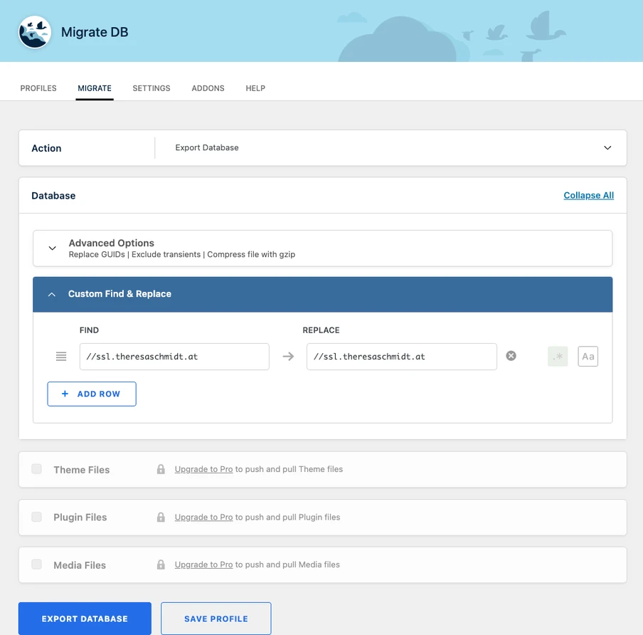 Migrate DB UI showing navigation tabs and a Custom Find & Replace panel with FIND and REPLACE fields and an Add Row button.