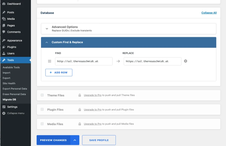 WordPress admin Tools screen: Custom Find & Replace panel with Find/Replace URL fields and Preview Changes / Save Profile.