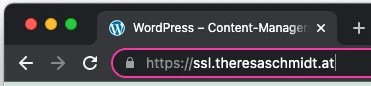 Screenshot of a web browser with a tab WordPress – Content-Manager and an address bar showing https://ssl.theresaschmidt.at.